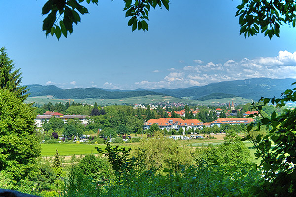 Treuhand im Südlichen Breisgau Geng & Partner Steuerberatungsgesellschaft mbH